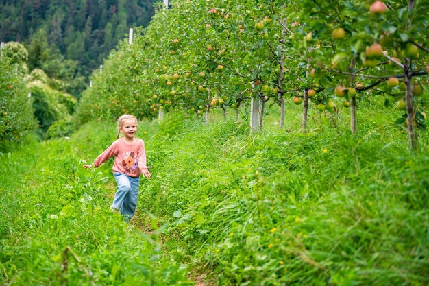 イタリアのサンピエトロ町の南ティロールのリンゴのプランテーションで楽しんでいる小さな女の子