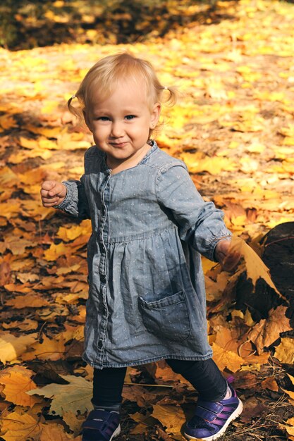 Little girl having fun in beautiful park with dry yellow and red leaves. Autumn family walk in forest.