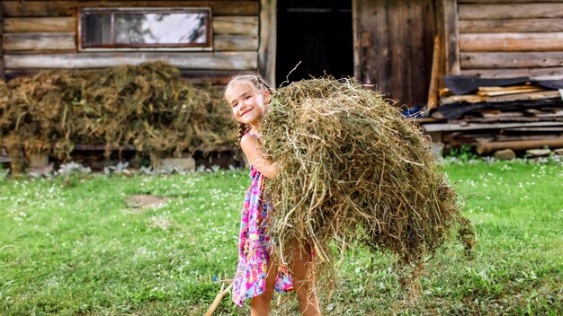 Little girl helping to gather dry hay with rake in the farm