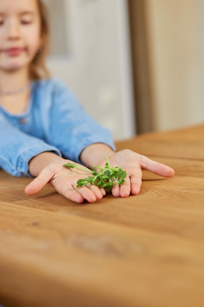 어린 소녀는 마이크로그린 건강 식품 개념을 손에 들고 있습니다.
