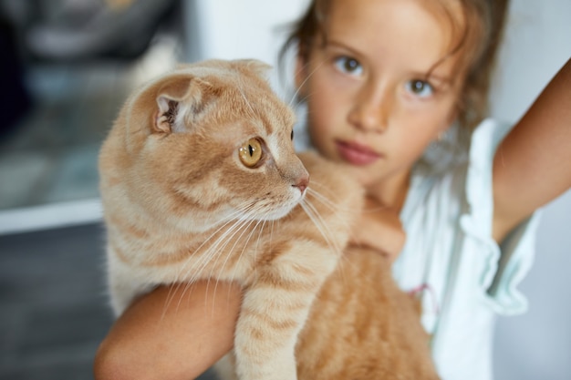 Little girl holding cat in her arms at home indoor, Child playing with domestic animals pet