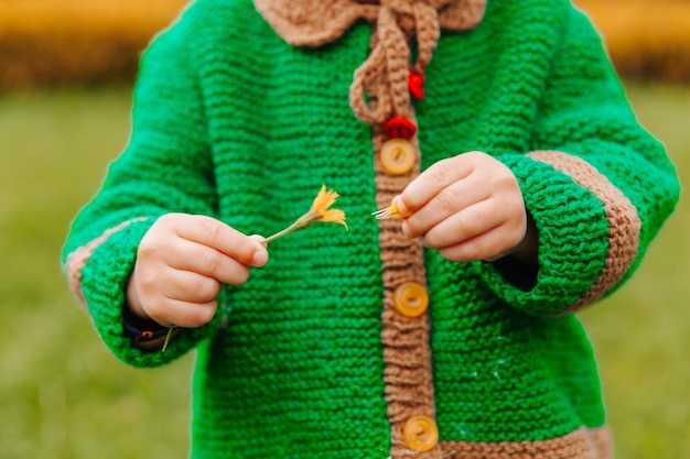 Little girl holding a flower in the park.