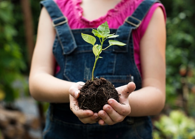 Little girl holding a plant