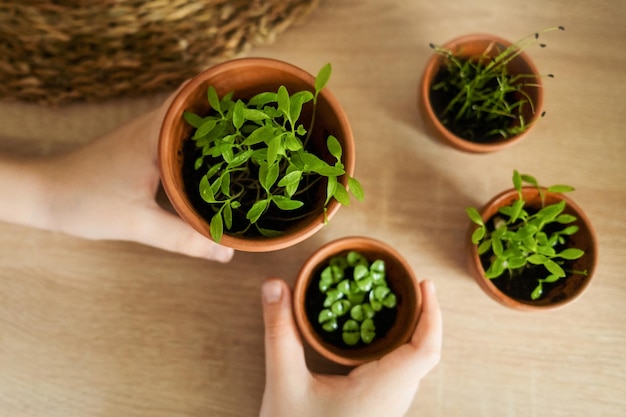 Little girl holding a pot of seedlings