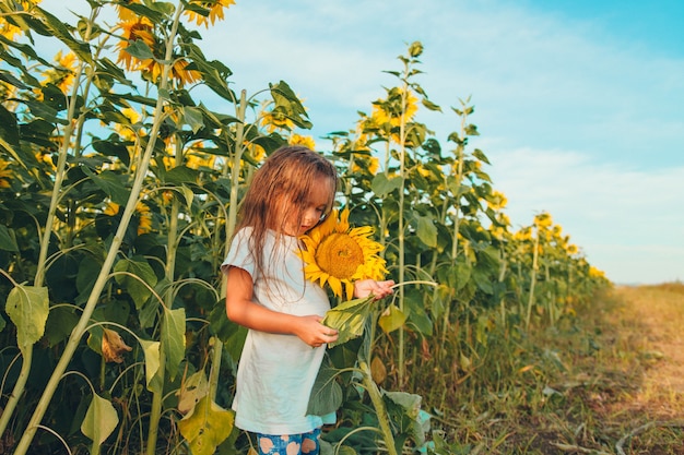 A little girl holds a large blooming sunflower. Yellow sunflower petals. A natural background associated with summer. preparing for the harvest