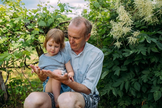 Photo a little girl hugs her grandfather on a walk in the summer outdoors