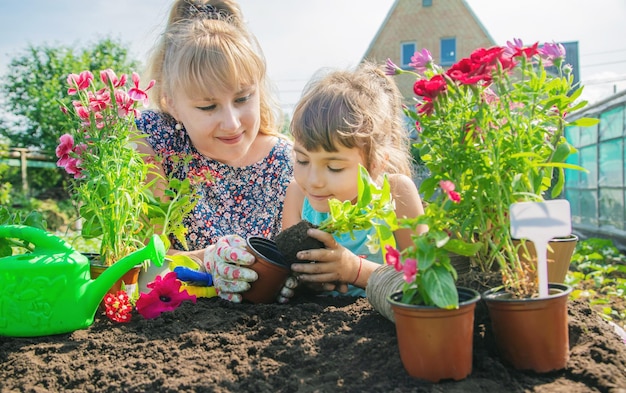 小さな女の子が花を植えています若い庭師選択的な焦点