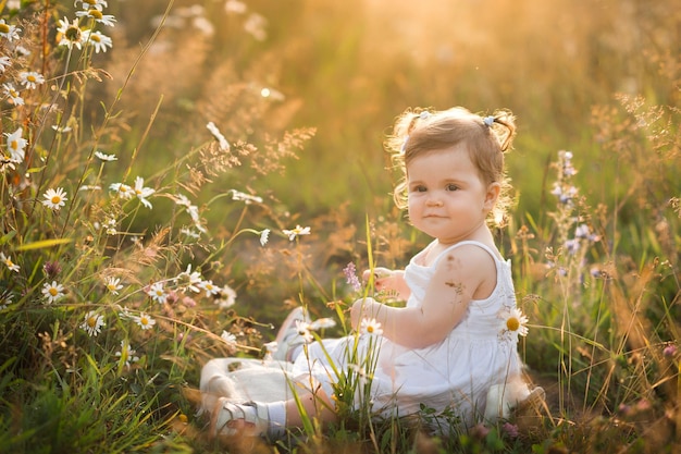Маленькая девочка играет в поле с одуванчиками 3013