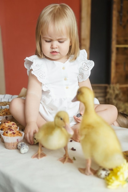 A little girl is sitting on the easter table and playing with cute fluffy ducklings happy easter