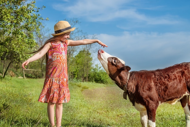 Little girl is stroking a calf in a field.