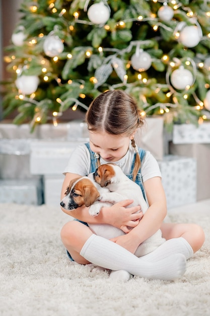 Little girl and jack russell puppies on the background of a decorated christmas tree