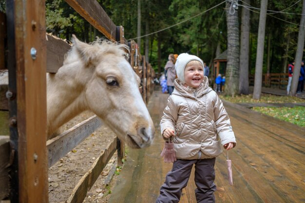 A little girl laughs cheerfully while standing next to a foal\
in a petting zoo. friendship of children and animals. the girl is\
wearing a jacket and a hat.