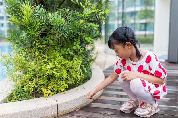 小さな女の子が野外で昆虫を見ている