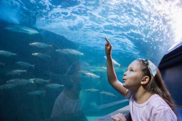 写真 魚の水槽を見ている少女