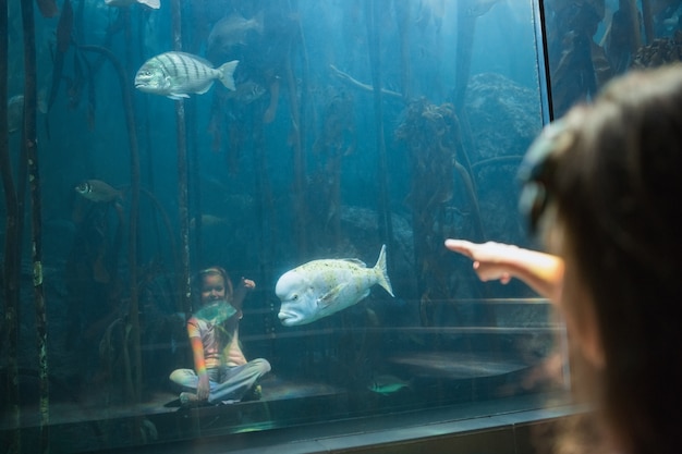 Little girl looking at fish tank