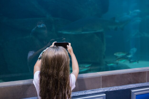 魚の水槽を見ている少女
