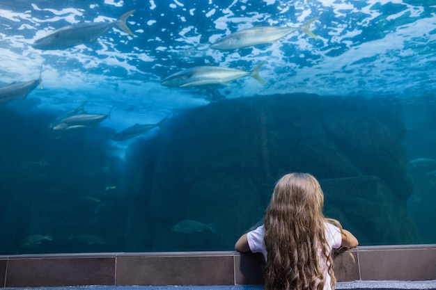 Little girl looking at fish tank