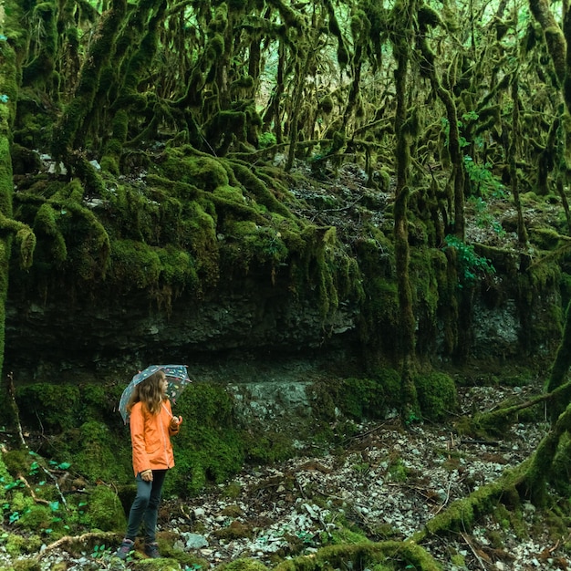 Foto piccola ragazza perduta in una foresta buia e inquietante