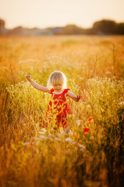 Little girl on the meadow