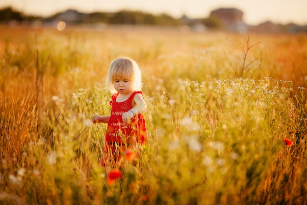 Little girl on the meadow