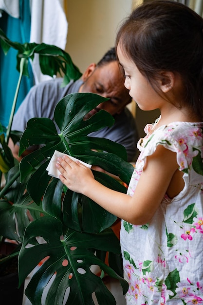 Foto una ragazzina che olia le foglie della pianta d'appartamento prendendosi cura della pianta monstera famiglia di giardinaggio