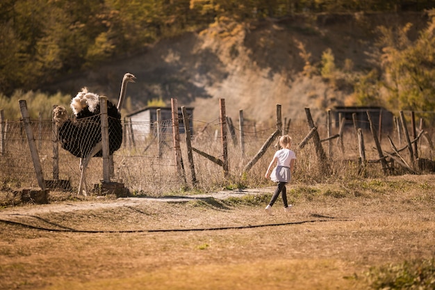 Little girl and the ostrich