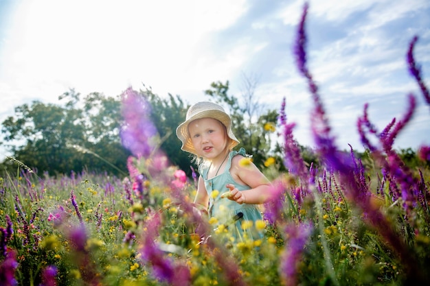 Una bambina con un cappello panama e un vestito blu in un campo fiorito estivo raccoglie la salvia in un cesto con...