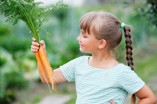 庭でニンジンを選ぶ少女。秋の野菜の収穫。