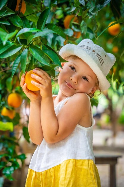 Little girl picking fresh ripe oranges in sunny orange tree garden in Turkey