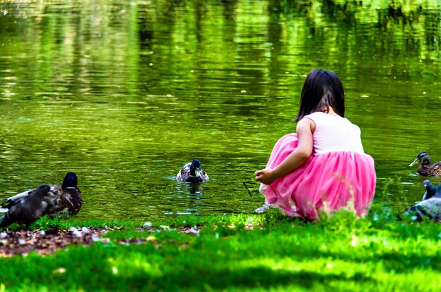 Little girl in pink dress playing in the lake with pigeons in summer.