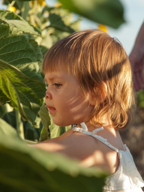 Little girl playing in sunflower field.