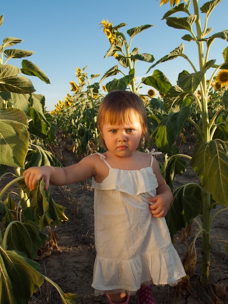 Little girl playing in sunflower field.