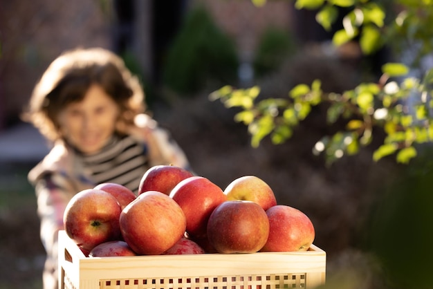 Bambina che gioca nel frutteto di alberi ragazza carina che mangia frutta deliziosa rossa bambino che raccoglie le mele