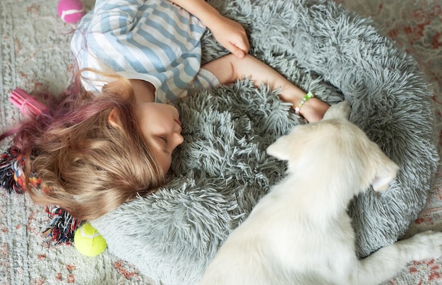 写真 自宅でゴールデンレトリバーの子犬と遊ぶ少女 自宅の友達