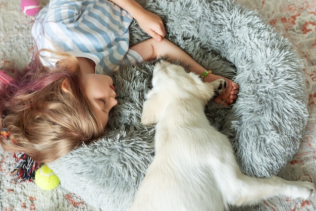 Little girl playing with a golden retriever puppy at home