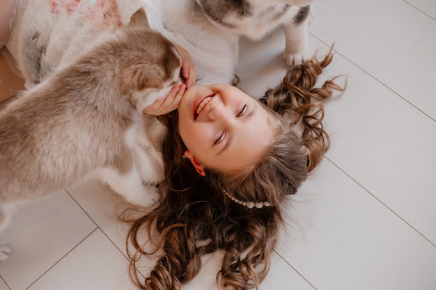 Little girl playing with husky puppies