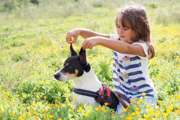 Little girl playing with jack russell terrier