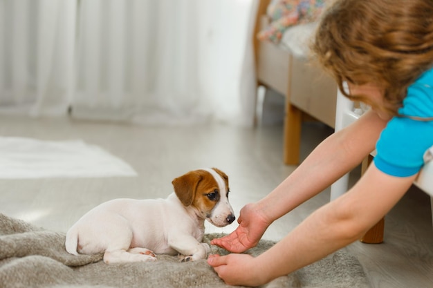 Photo little girl playing with puppy jack russell