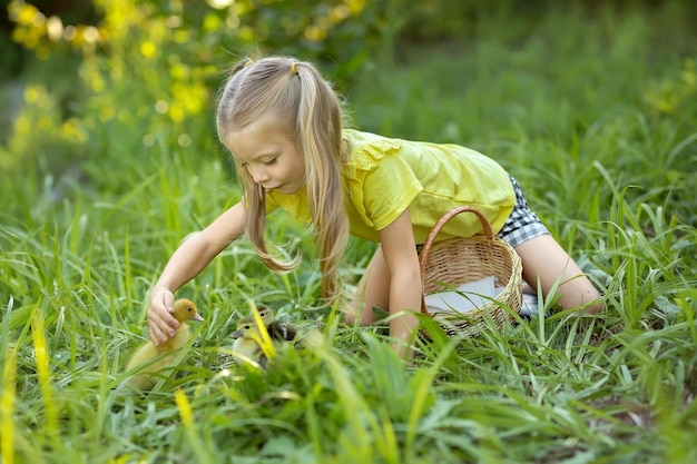 Little girl plays with ducklings on the grass Animal care Pet Organic farm