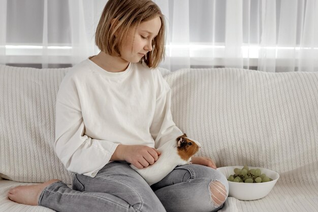 Little girl plays with guinea pig on the couch care of\
pets
