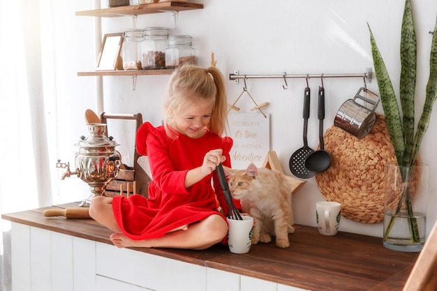 小さな女の子が人間の家族とペットの家のコンセプトのキッチンで子猫と遊ぶ