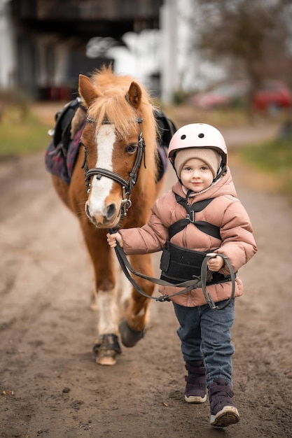 Little girl in protective jacket and helmet with her brown pony before riding lesson