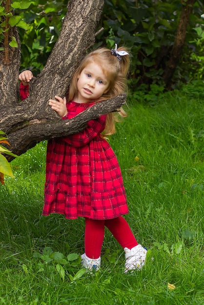 A little girl in a red checkered dress near a tree on a green lawn