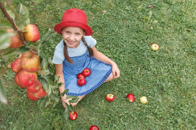 A little girl in a red hat sits on the grass and collects the ripe in her apron