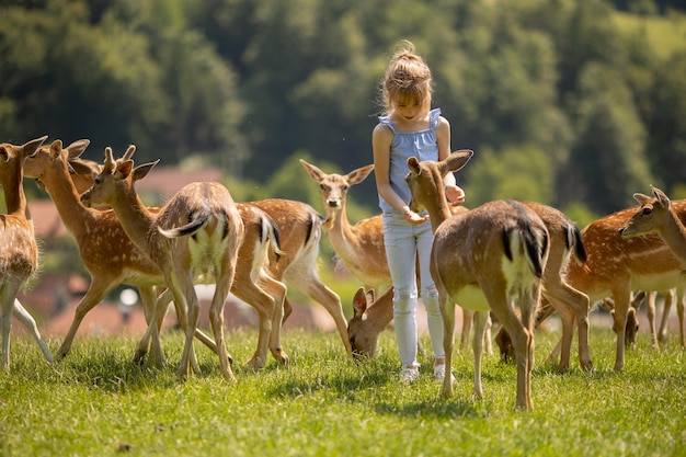 Little girl among reindeer herd on the sunny day