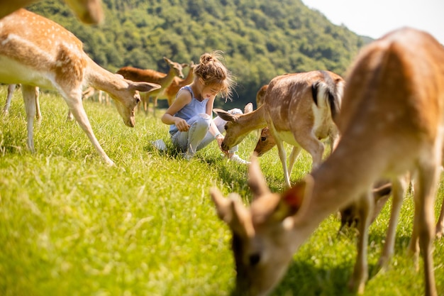 Little girl among reindeer herd on the sunny day