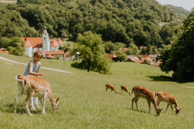 Little girl among reindeer herd on the sunny day