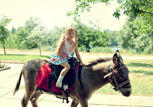 Photo little girl riding on a donkey in the summer park