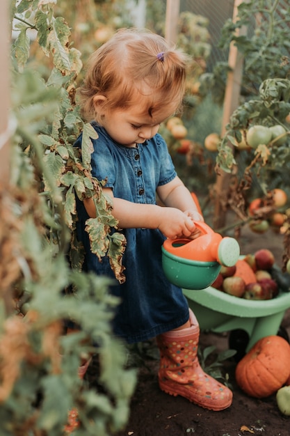 Little girl in rubber boots and straw hat is watering irrigate plants in greenhouse young farmer