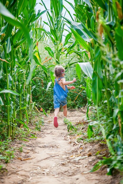 高等植物の間でトウモロコシ畑で逃げる少女